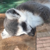 抱歉没想好
