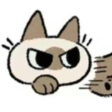 超级无敌猫猫头
