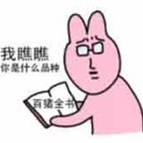 无糖霓麻荸