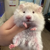 最棒的
