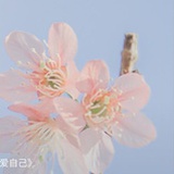 豆友7DofQf0BOA