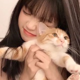 鱼月
