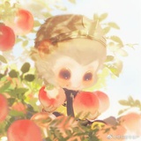 豆友_粤92