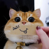 语清