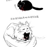 霖🐟