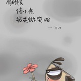 慵懒的肥猫