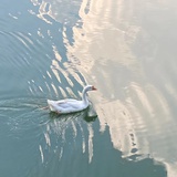 在路上