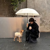 杜先生