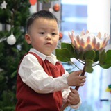 朱小禾