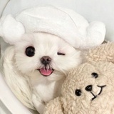 每天都爱喝可乐
