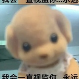 希希小饼