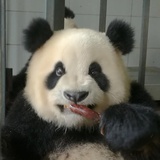 西瓜瓜