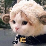 猪奈美