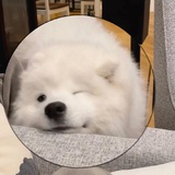 包包