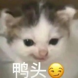 你算什么东西