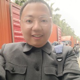 可爱的小猪