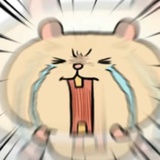蛋饼别杀我