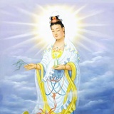 浩东