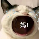 %懒人