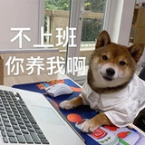 8997