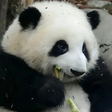 南风向晚_