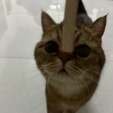 阳光空气白开水