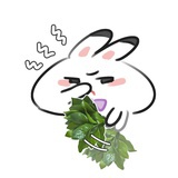 再睡就不礼貌了