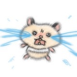呼呼小岛