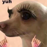 🐶