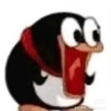 今天午饭吃什么