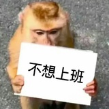 上班创死全世界