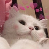 木子子
