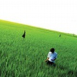 风里密码