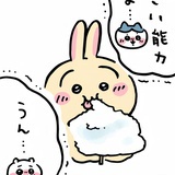 豆友momo🍀