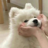 三木