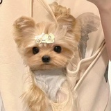 雾草¿