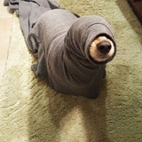 whatcanIsay