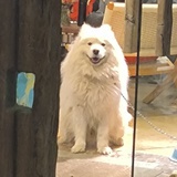 就是喜欢看电视