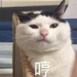 钱米多