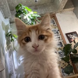 豆友9RenjD7F68