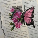 Butterfly🦋