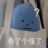 满脑子问号