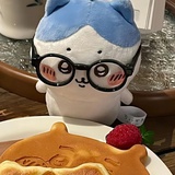 一只小狗