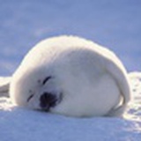 深海传说