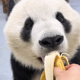 momo爱看👀