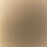 爱是唯一