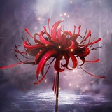 送你一朵小红花