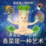 香菜热舞