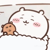 攀登🐱