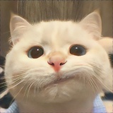 麦当劳薯条